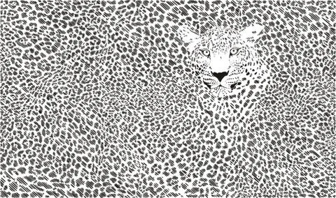 Jaguar skin background Stock-Illustration