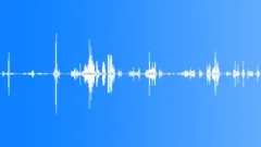 JAGUARSound Effect