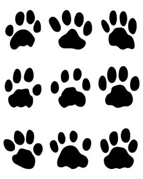 Jaguar's paw Stock Illustration