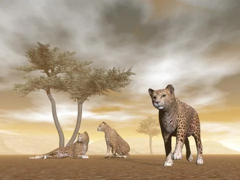 Jaguars in the savannah - 3D render Stock Illustration