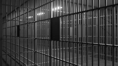 Jail bars creating a confining grid in a correctional facility Stock Illustration