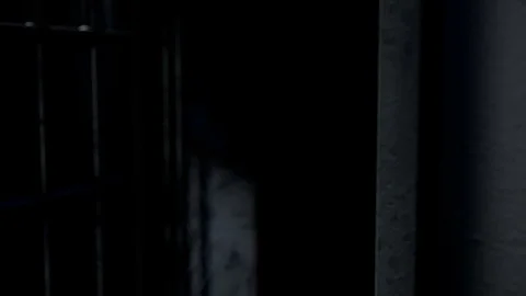 Jail cel door close 2 Stock Footage 82847720