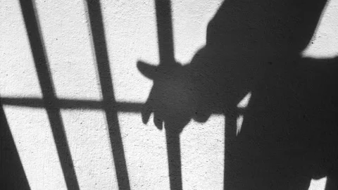 Jail Cell Prisoner Interview Stock-Footage 235487506