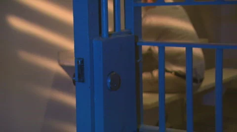Jail Door2 Stock Footage 307697