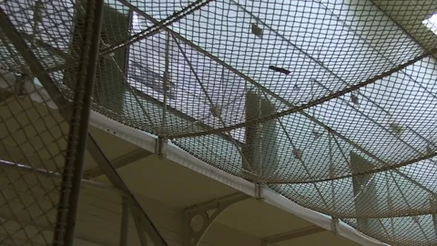 Jail with white paintings Vídeo Stock 84974109