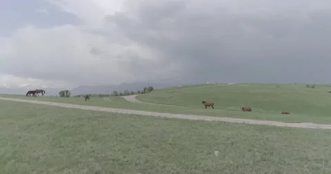 Jailoo Stock Footage 154854094