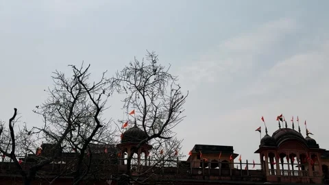 Jaipur city during the day Vidéo 334537861