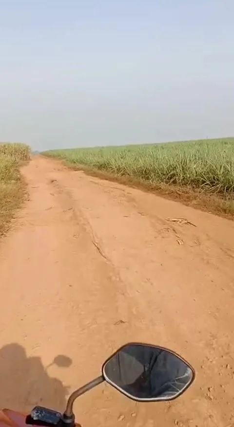 Jalan jalan Video stock 241437190