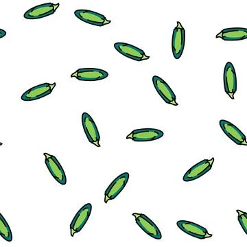 Jalapeno pepper vector seamless pattern Stock Illustration