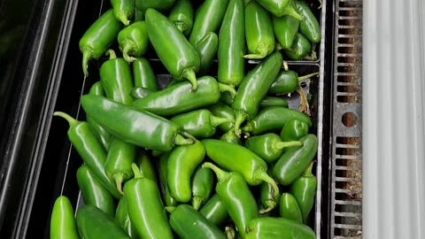 Jalapeno Peppers Stock Footage 218468233