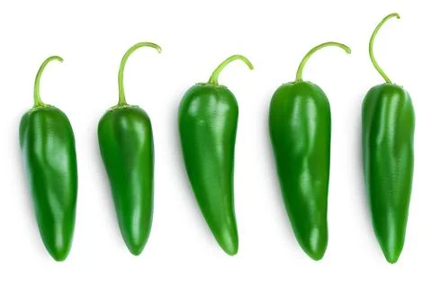 Jalapeno peppers isolated on white background. Green chili pepper with clipping Stock Photos