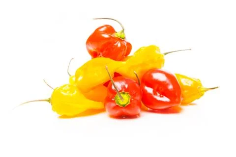 Jalapenos On White Photos