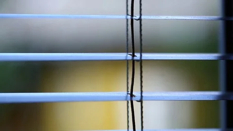 Jalousie on the window Stock Footage 71277161