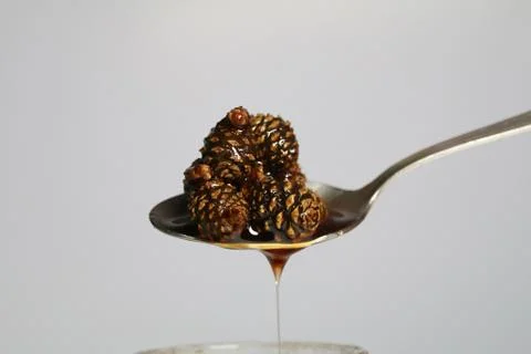 Jam from cedar cones, useful preparations for the winter. vegan food, raw, he Stock Photos