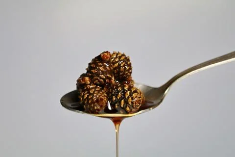 Jam from cedar cones, useful preparations for the winter. vegan food, raw, he Foto stock
