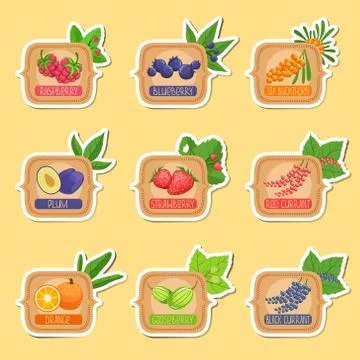 Jam Label Sticker Collection Of Templates In Square Frames Illustrazione stock
