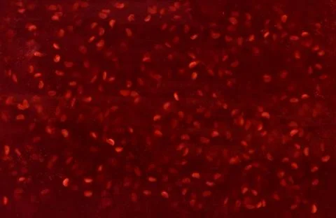 Jam from raspberry. Stock Photos