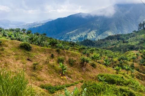 Jamaica Stock Photos