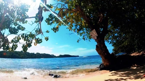Jamaican Beach Timelapse 動画素材 113978711