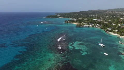 Jamaican reef Video stock 342131321