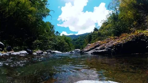 Jamaican River Timelapse 動画素材 113978710