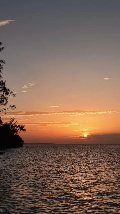 Jamaican Sunset Video stock 342132291