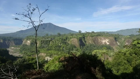 Jambi Stock Footage 84255615