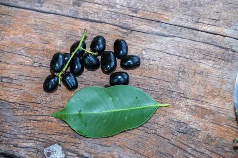 Jambolan plum, Java plum, Jambul( Syzygium cumini (L.) Skeels. on wooden ba.. Stock Photos
