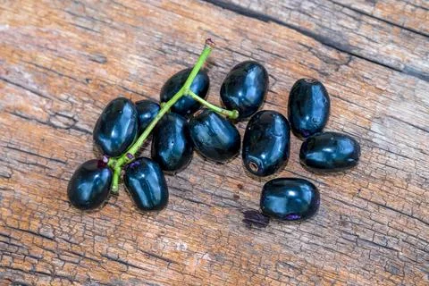 Jambolan plum, Java plum, Jambul( Syzygium cumini (L.) Skeels. on wooden ba.. Stock Photos