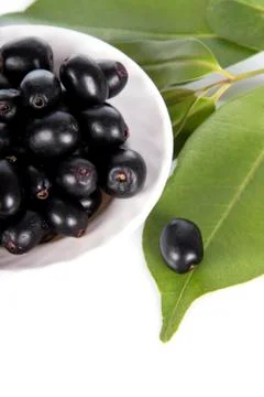 Jambolan plum or Java plum (Syzygium cumini) Stock-Fotos