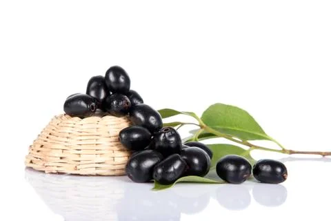 Jambolan plum or Java plum (Syzygium cumini) 스톡 사진