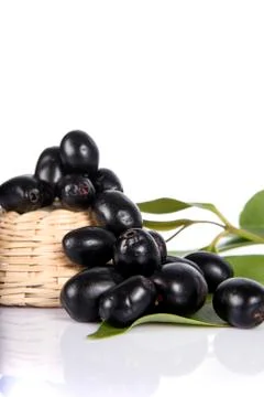 Jambolan plum or Java plum (Syzygium cumini) Stock Photos