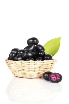 Jambolan plum or Java plum (Syzygium cumini) Stock Photos