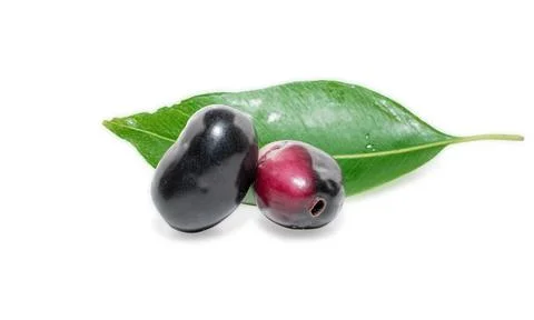 Jambolan plum or Java Plum (Syzygium cumini ) fruit isolated on white backg.. Stock Photos