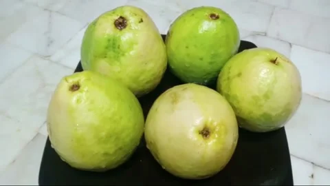 Jambuvid03 Stock Footage 231956534