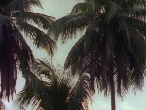 Jamek Mosque surrounded by coconut trees on a sunny day Video stock 79881330
