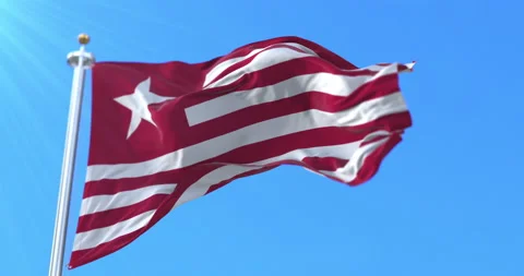 James Long Flag, second Republic of Texas, United States. Loop 스톡 동영상 171968661