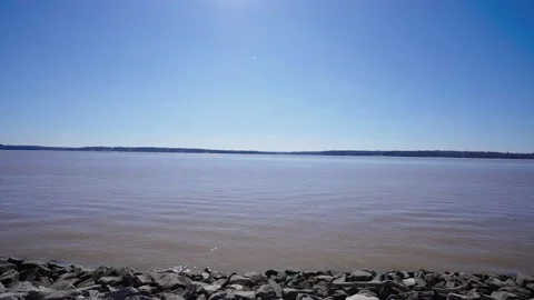 James River Shoreline Stock Footage 308751306