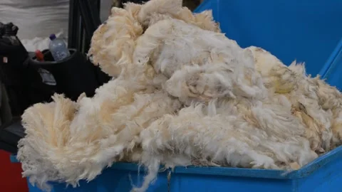 Jamieson and Smith Wool Merchants, Lerwick, Shetland - 14 Sep 2026 Stock Footage 345512601