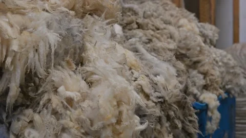 Jamieson and Smith Wool Merchants, Lerwick, Shetland - 14 Sep 2026 Stock Footage 345513227
