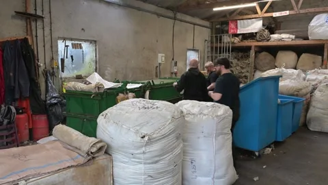 Jamieson and Smith Wool Merchants, Lerwick, Shetland - 14 Sep 2026 Stock Footage 345513267