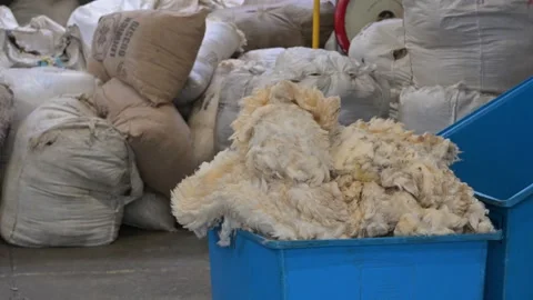 Jamieson and Smith Wool Merchants, Lerwick, Shetland - 14 Sep 2026 Stock Footage 345513709