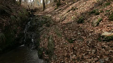 Jammertal Hike 2 库存影片 20466669