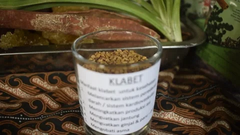 “Jamu: The Ancient Javanese Herbal Elixir” Stock Footage 263130324