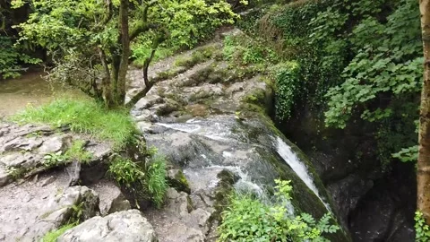 Janet's Foss Stock Footage 199024610