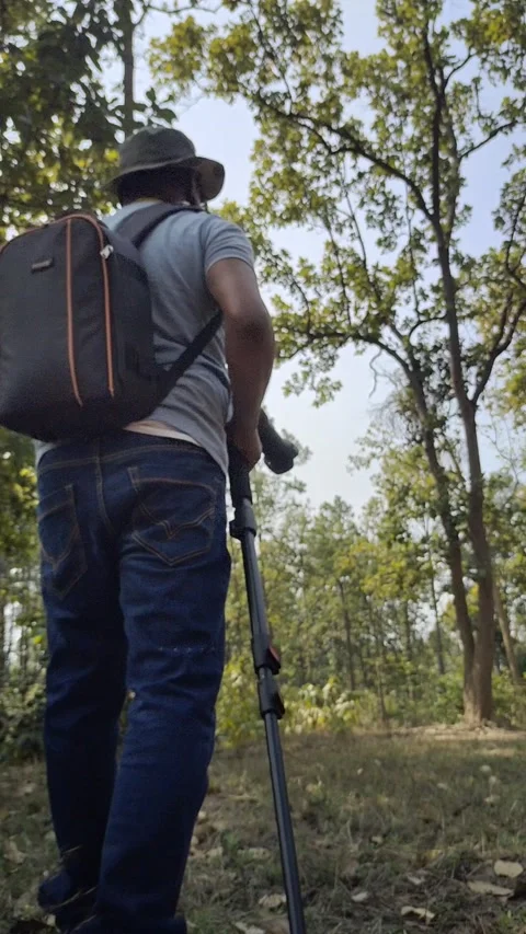 Jangal walking Stock Footage 267225726