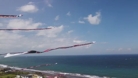 Janggan kites flying formation. In this time Janggan kites need to fly in order Video stock 280216625