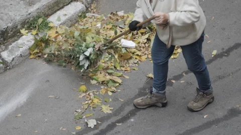 Janitor Sweeping Fallen Leaves Stock Footage 254796068