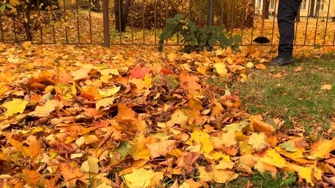 Janitor sweeps autumn yellow fallen leaves in one pile on a sunny day Stock-Footage 118044904
