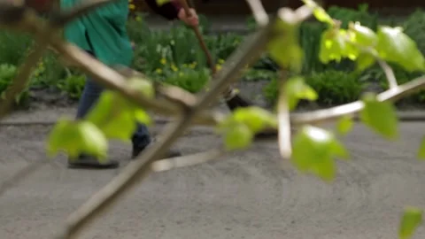 Janitor sweeps garbage in the street close-up Stock Footage 153995927